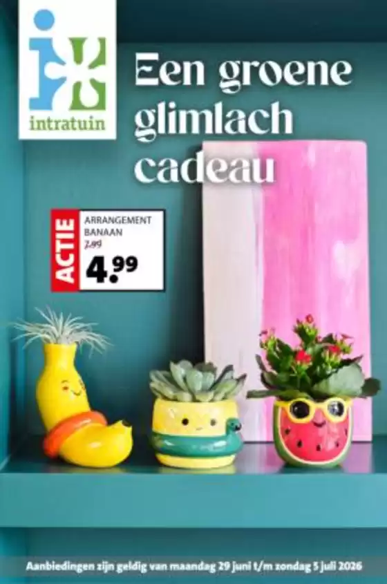 Catalogus van Intratuin | Intratuin folder | 2026-06-29T00:00:00.000Z - 2026-07-05T00:00:00.000Z