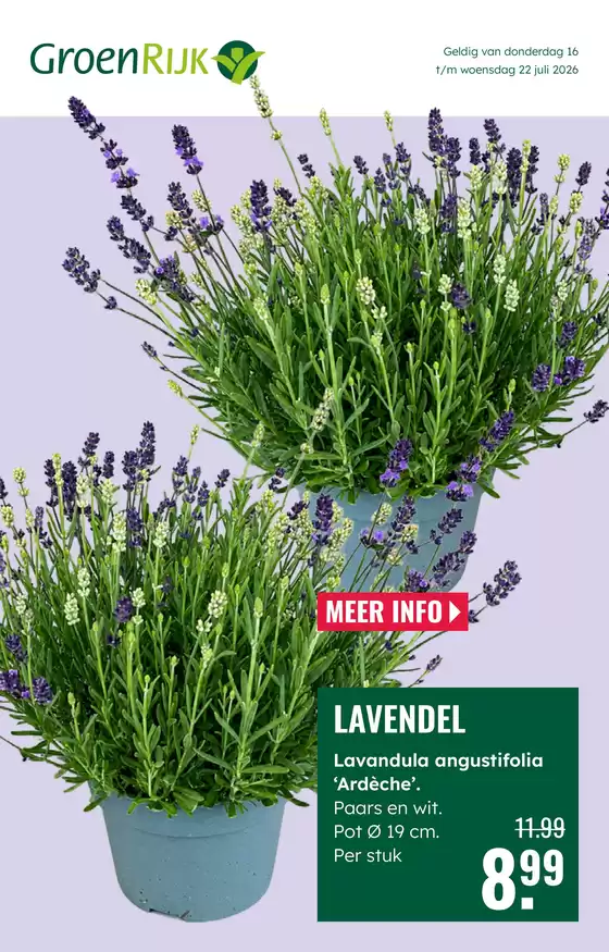 Catalogus van GroenRijk in Zwaagwesteinde | Geweldige kortingen op geselecteerde producten | 2026-07-16T00:00:00.000Z - 2026-07-22T00:00:00.000Z