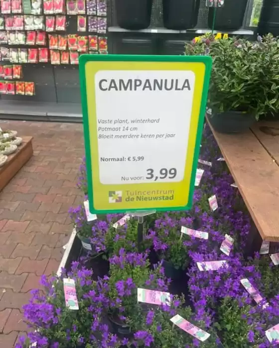Catalogus van Tuincentrum de Nieuwstad | Tuincentrum De Nieuwstad Verkoop | 2026-08-07T00:00:00.000Z - 2026-08-21T00:00:00.000Z