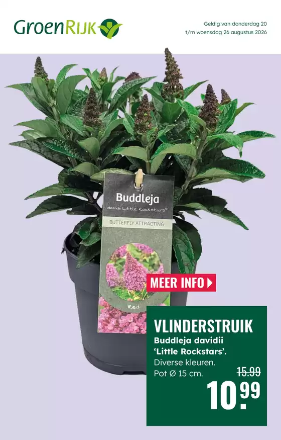 Catalogus van GroenRijk | Geweldig aanbod voor alle klanten | 2026-08-20T00:00:00.000Z - 2026-08-26T00:00:00.000Z