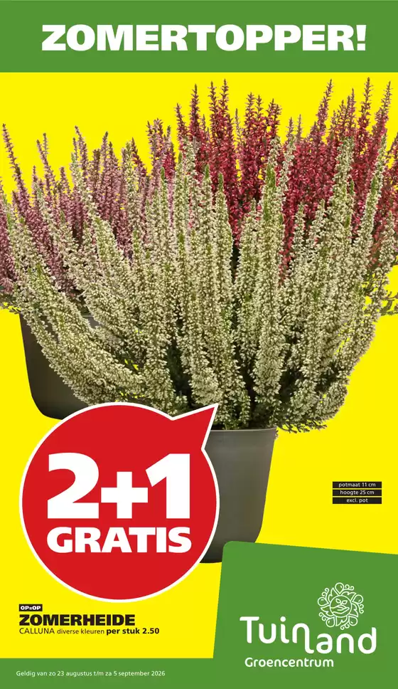 Catalogus van Tuinland | Ontdek aantrekkelijke aanbiedingen | 2026-08-22T00:00:00.000Z - 2026-09-05T00:00:00.000Z