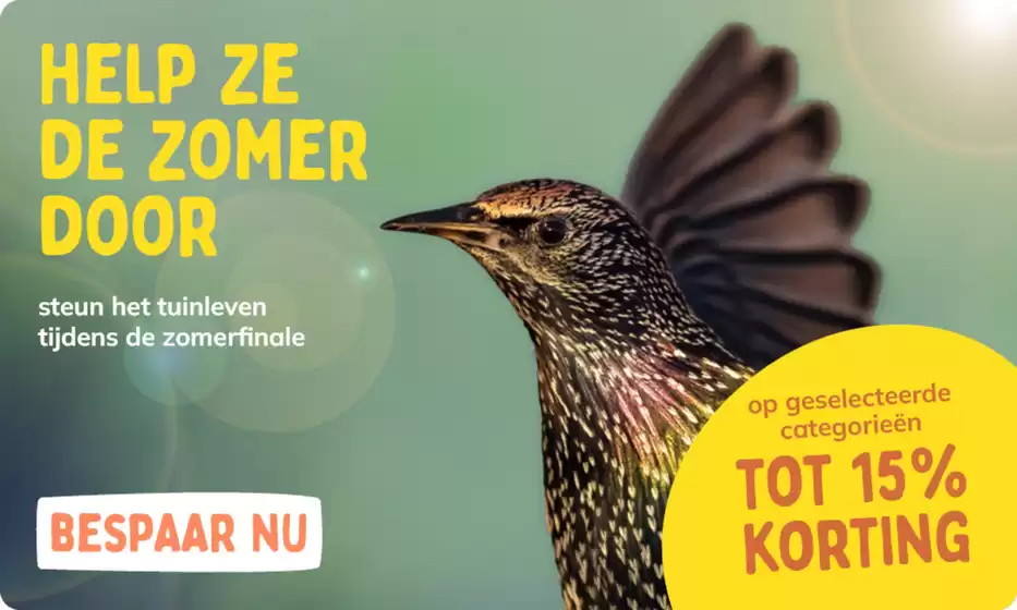 Catalogus van Vivara | Vivara Promo | 2026-08-28T00:00:00.000Z - 2026-09-11T00:00:00.000Z