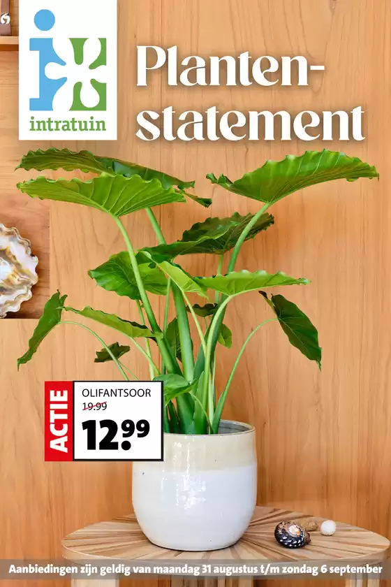 Catalogus van Intratuin in Wellerlooi | Topaanbiedingen voor slimme spaarders | 2026-08-31T00:00:00.000Z - 2026-09-06T00:00:00.000Z