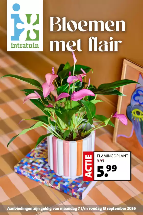 Catalogus van Intratuin | Actuele koopjes en aanbiedingen | 2026-09-07T00:00:00.000Z - 2026-09-13T00:00:00.000Z