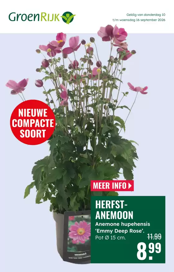 GroenRijk folder in Udenhout | Grote selectie aanbiedingen | 2026-09-10T00:00:00.000Z - 2026-09-16T00:00:00.000Z