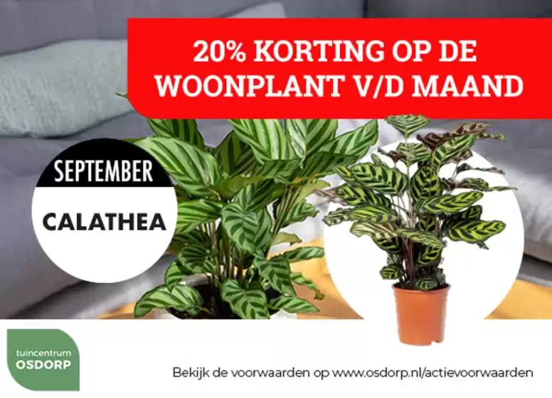 Catalogus van Tuincentrum Osdorp in Millingen aan de Rijn | Tuincentrum Osdorp Promo | 2026-09-15T00:00:00.000Z - 2026-09-30T00:00:00.000Z