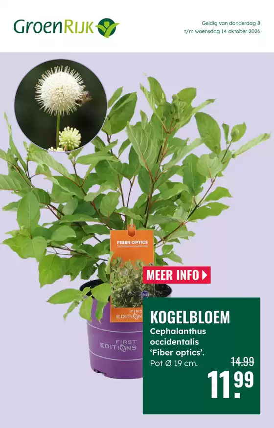 Catalogus van GroenRijk | Topdeals voor alle klanten | 2026-10-08T00:00:00.000Z - 2026-10-14T00:00:00.000Z