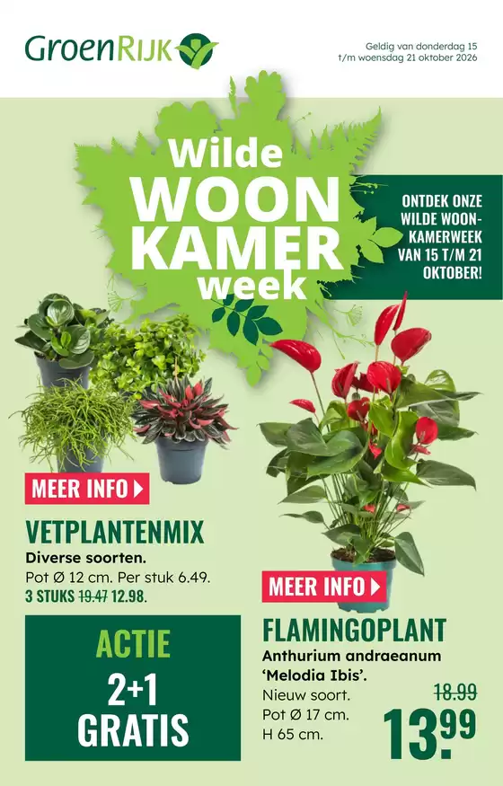 Catalogus van GroenRijk in Wijnjewoude | GroenRijk folder | 2026-10-15T00:00:00.000Z - 2026-10-21T00:00:00.000Z