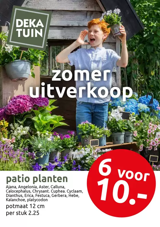 Catalogus van Deka Tuin in Amsterdam | 6 voor 10.- | 2025-08-20T00:00:00.000Z - 2025-08-31T00:00:00.000Z