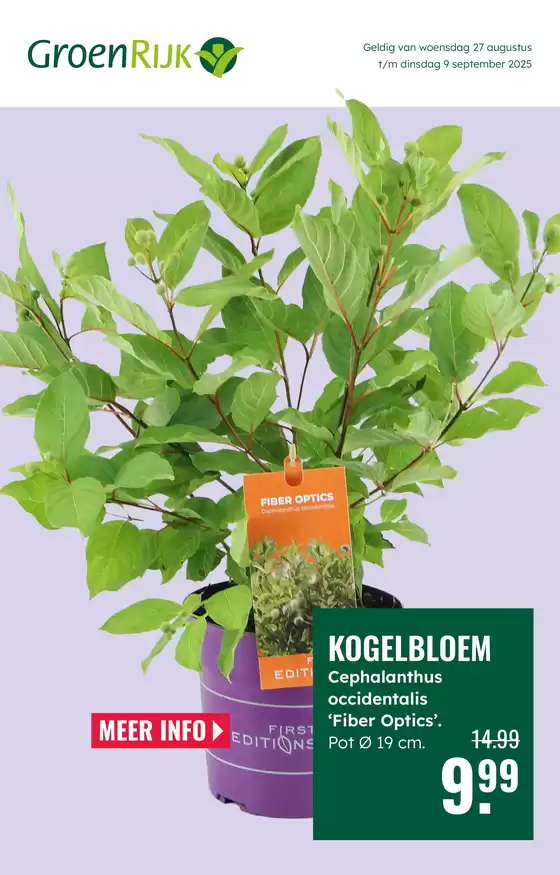 Catalogus van GroenRijk | GroenRijk folder | 2025-08-27T00:00:00.000Z - 2025-09-09T00:00:00.000Z