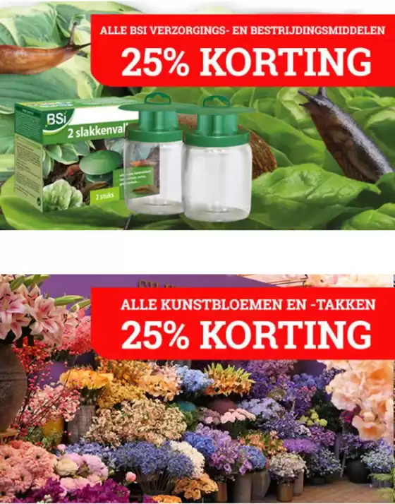25% Korting