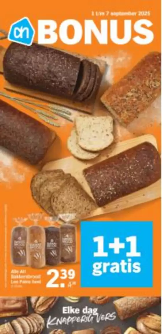 Albert Heijn folder