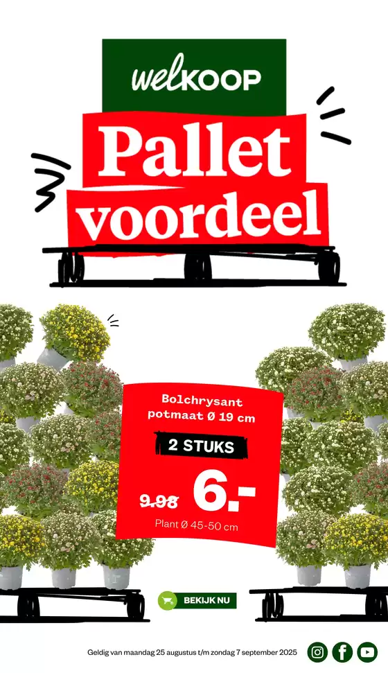 Welkoop