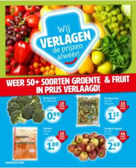 Hoogvliet Aanbiedingen