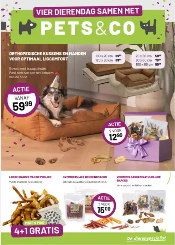 Catalogus van Pets&Co in Utrecht | Vier dierendag samen met | 2025-09-15T00:00:00.000Z - 2025-10-05T00:00:00.000Z