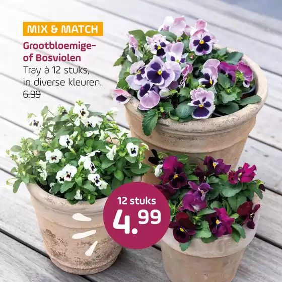 Catalogus van Coppelmans in Hillegom | Mix & match | 2025-09-17T00:00:00.000Z - 2025-10-01T00:00:00.000Z