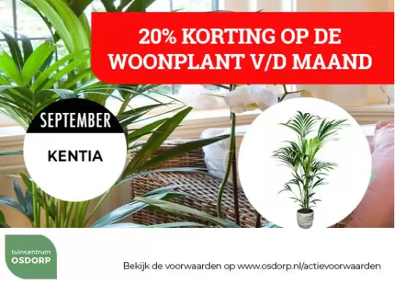 Catalogus van Tuinmaximaal in Wieringerwerf | 20% korting op de woonplant v/d maand | 2025-09-17T00:00:00.000Z - 2025-09-30T00:00:00.000Z