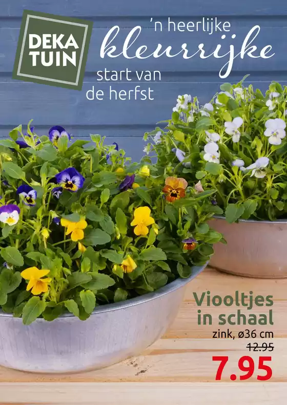 Catalogus van Deka Tuin in Wieringerwerf | Kleurrijke | 2025-09-17T00:00:00.000Z - 2025-09-28T00:00:00.000Z