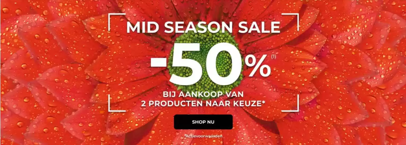 Mid Season Sale -50%