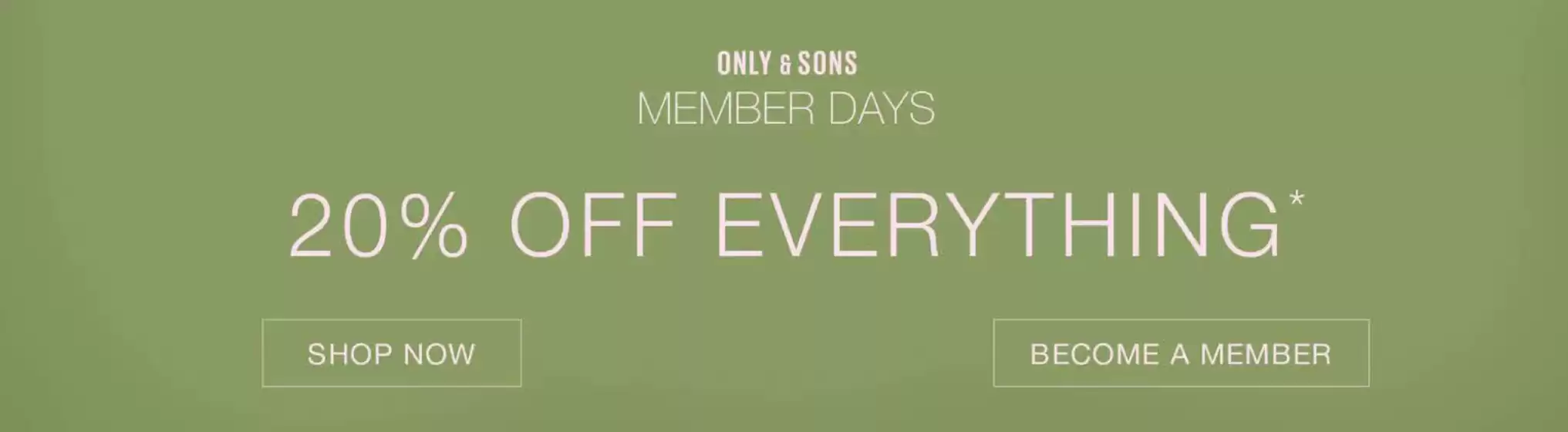 20% off everything