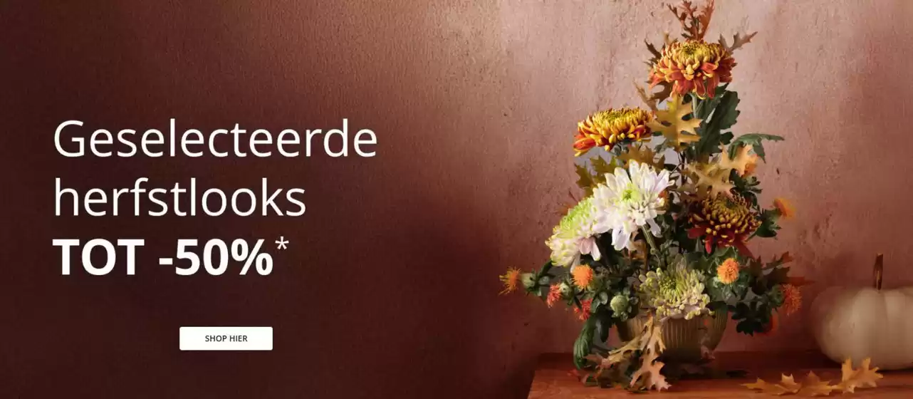 Tot -50%