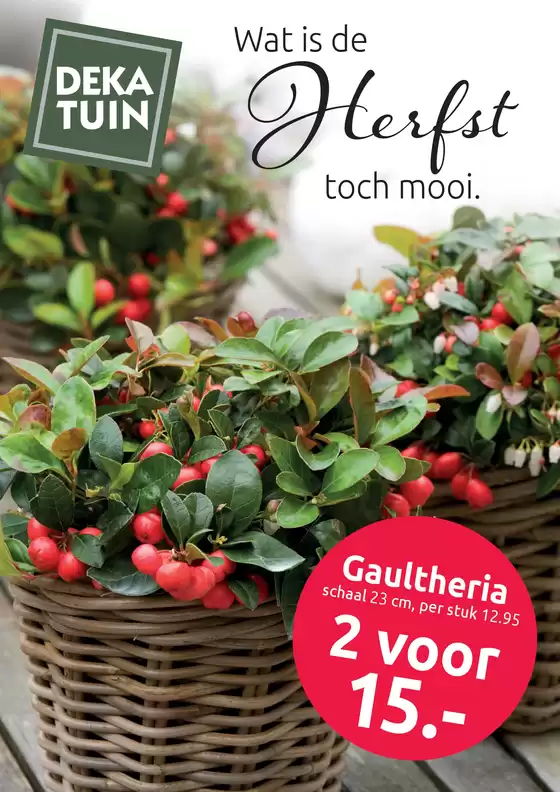 Wat is de Herfst toch mooi.
