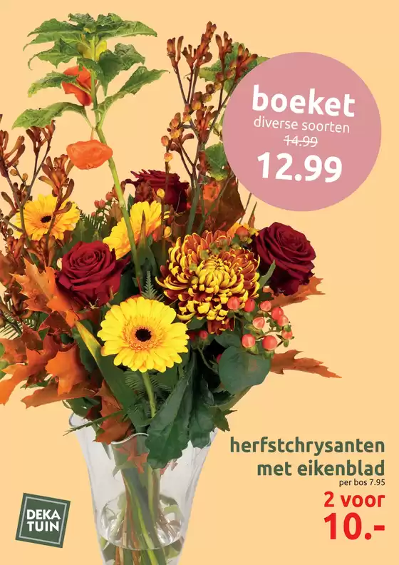 Wat is de Herfst toch mooi.