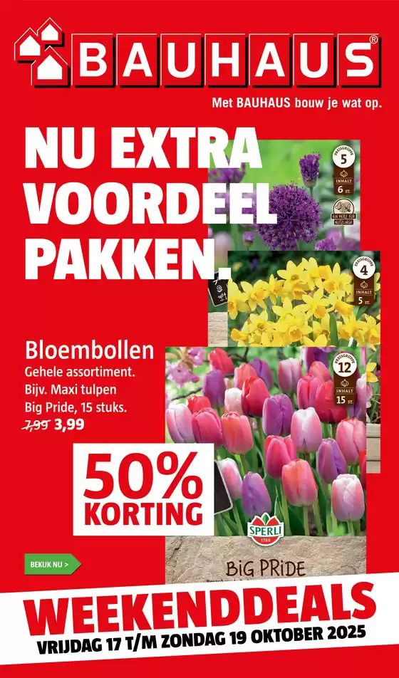 Catalogus van Bauhaus in Rotterdam | Nu extra voordeel pakken. | 2025-10-17T00:00:00.000Z - 2025-10-19T00:00:00.000Z