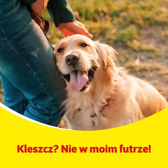 Ekskluzywne oferty i okazje