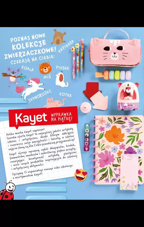 Specjalne oferty dla Ciebie