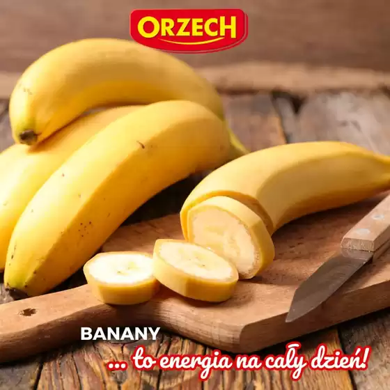 Nasze najlepsze oferty dla Ciebie