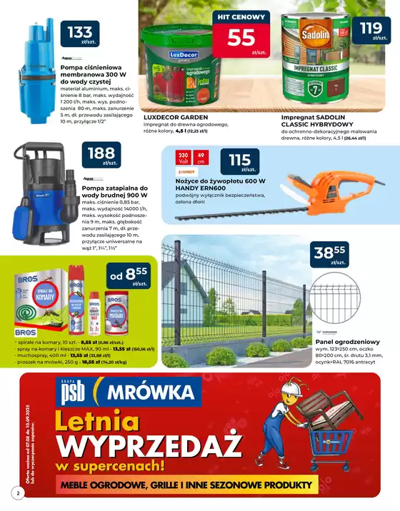 Mrówka gazetka
