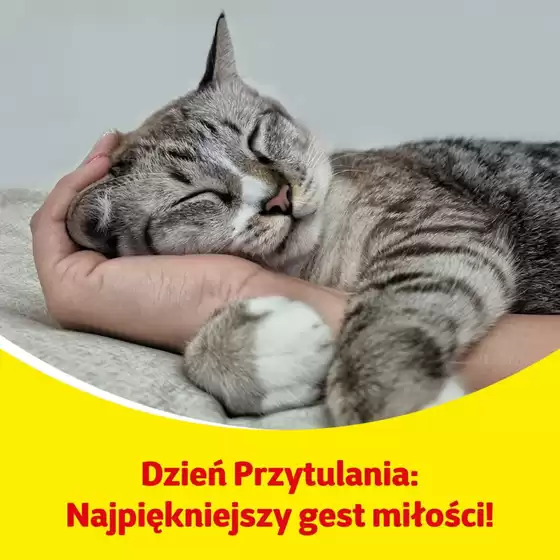 Najlepsze oferty dla wszystkich łowców okazji