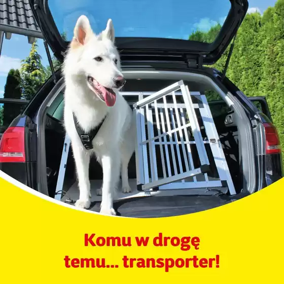 Aktualne oferty i promocje