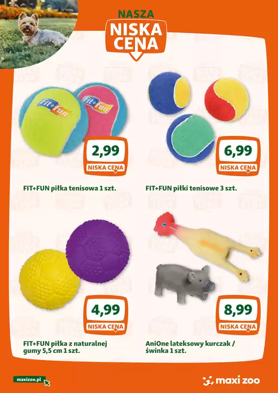 Kupuj produkty w naszych niskich cenach