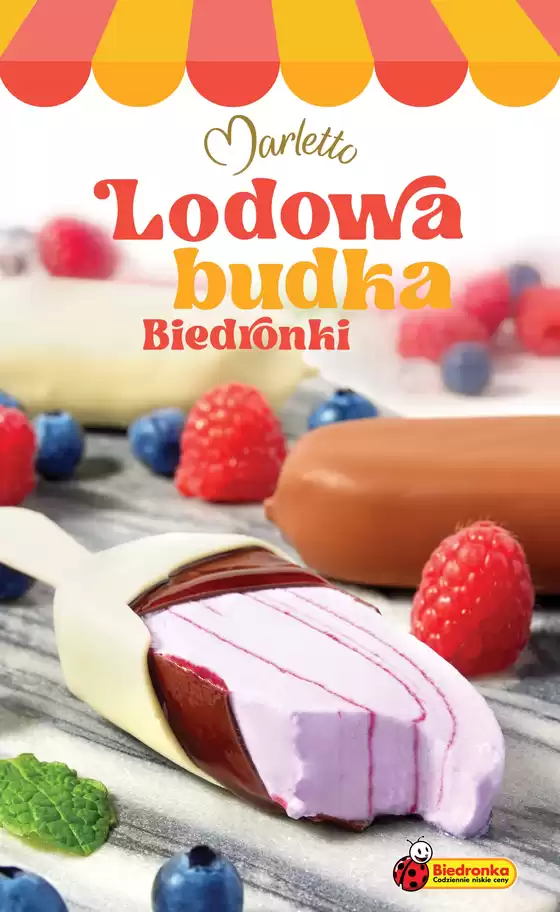 Szeroki wybór ofert