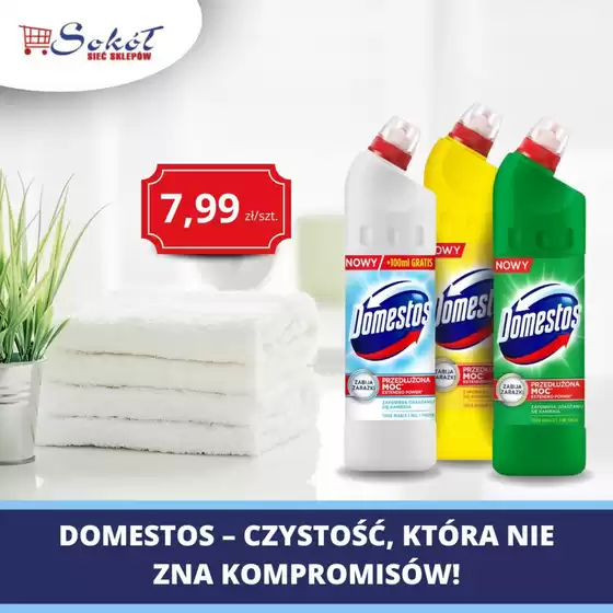 Nasze najlepsze oferty dla Ciebie
