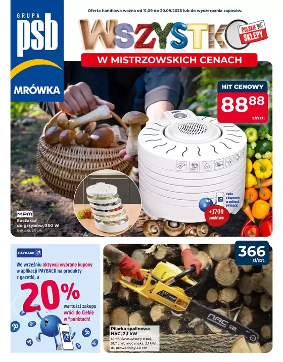 Mrówka gazetka