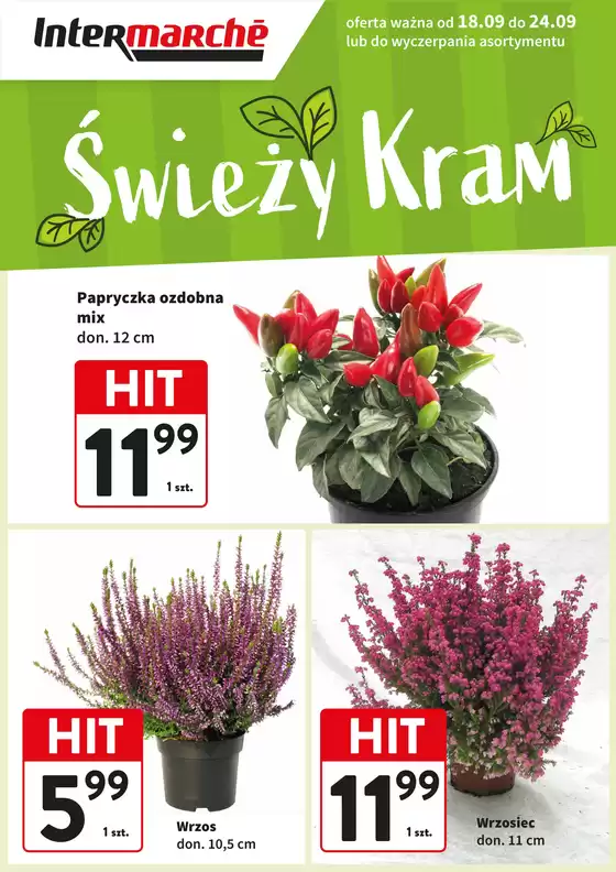 Katalog Intermarche | Nasze najlepsze okazje | 2025-09-18T00:00:00.000Z - 2025-09-24T00:00:00.000Z