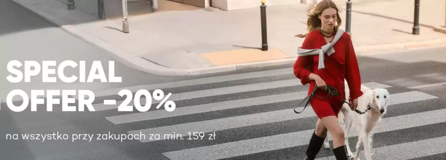 Special offer 