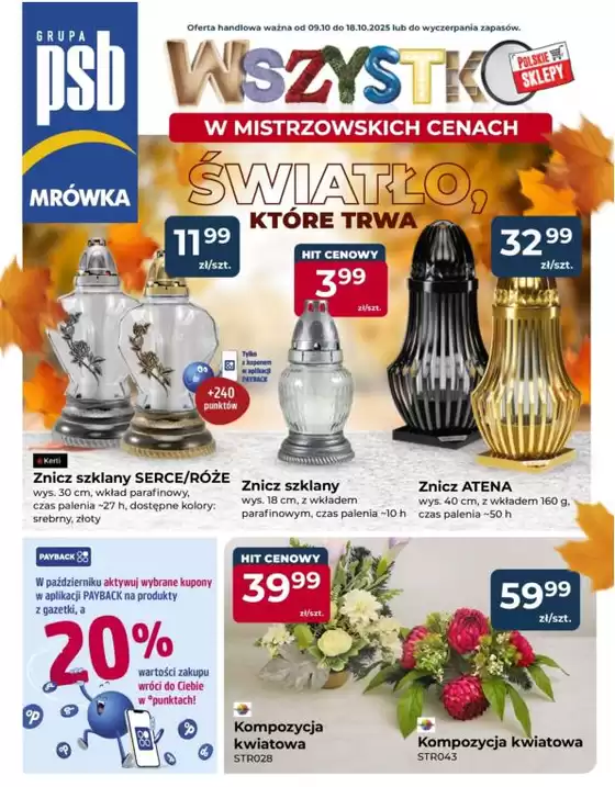 Nowe oferty do odkrycia
