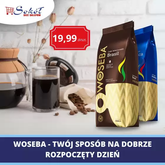 Katalog Sokół w: Grybów | Świetna oferta dla łowców okazji | 2025-10-09T00:00:00.000Z - 2025-10-23T00:00:00.000Z
