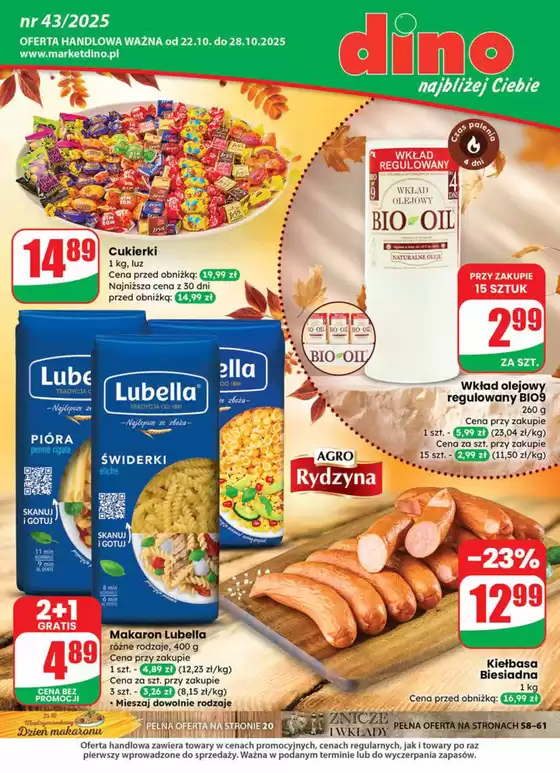 maly pdf dino 43 www 2