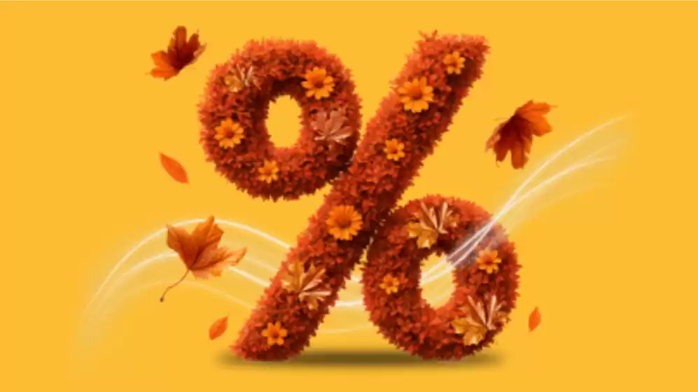 Nasze najlepsze oferty dla Ciebie