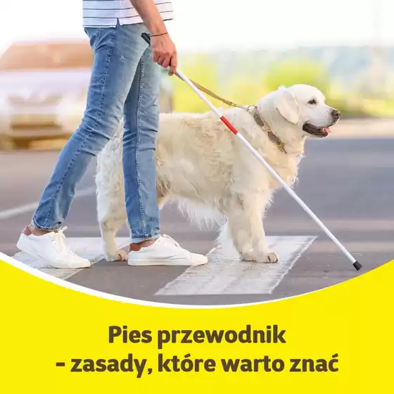 Katalog Kakadu w: Pruszcz Gdański | Kakadu gazetka | 2025-12-06T00:00:00.000Z - 2025-12-20T00:00:00.000Z