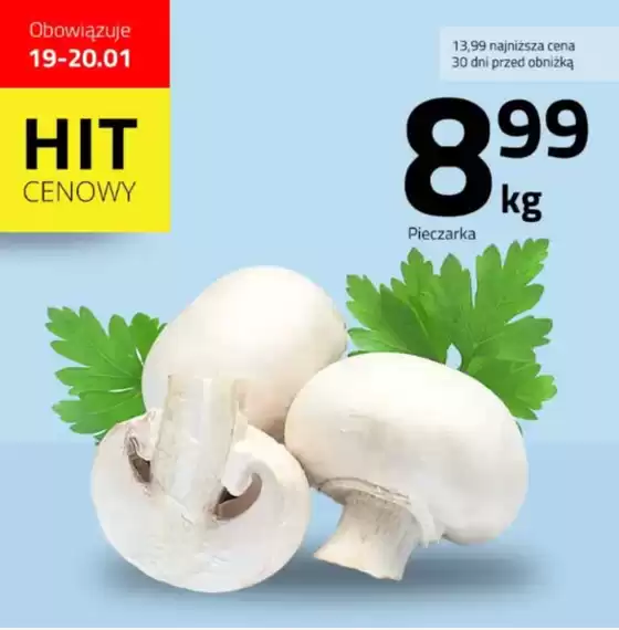 Katalog Hildebrandt w: Annopol | Hit cenowy  | 2026-01-19T00:00:00.000Z - 2026-01-24T00:00:00.000Z