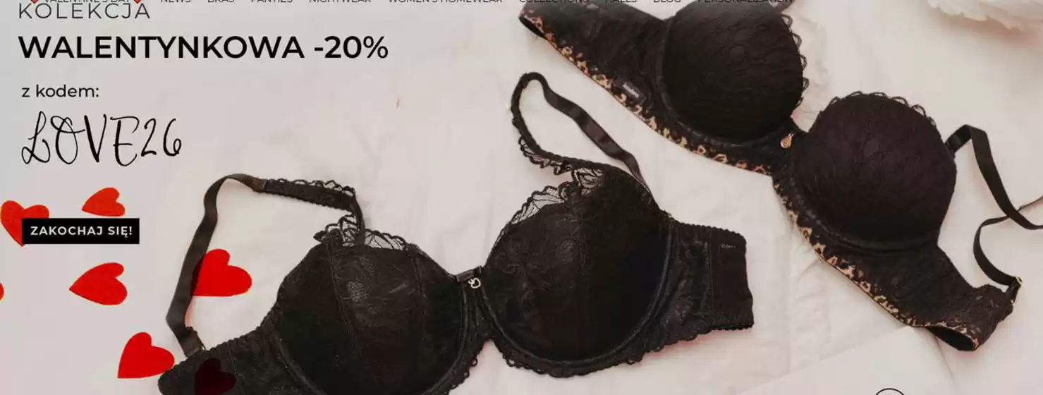 Katalog Nipplex Shop w: Ruda Śląska | Walentynkowe - 20 % | 2026-02-10T00:00:00.000Z - 2026-02-14T00:00:00.000Z