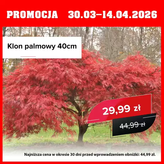 Katalog Szarotka w: Kępno | Wiosenne promocje  | 2026-03-30T00:00:00.000Z - 2026-04-14T00:00:00.000Z