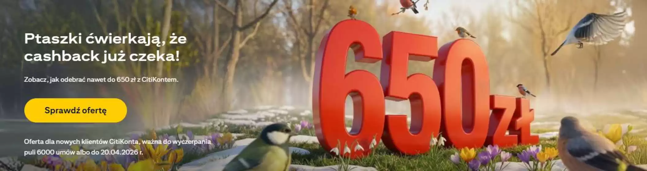 Katalog Citibank w: Sucha Beskidzka | Nawet do 650 zł z CitiKontem | 2026-04-01T00:00:00.000Z - 2026-04-15T00:00:00.000Z