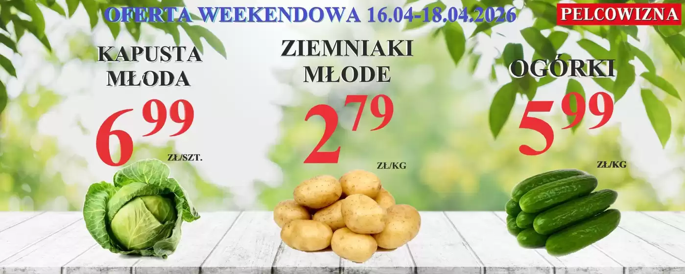 Katalog Pelcowizna w: Biłgoraj | Ekskluzywne oferty i okazje | 2026-04-16T00:00:00.000Z - 2026-04-18T00:00:00.000Z